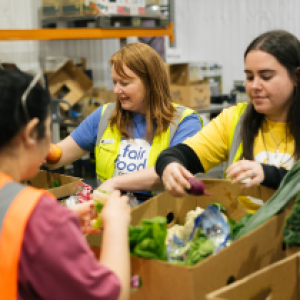 Image for Food Sorting Superheroes