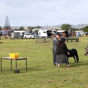 Image for Helensville A&P Show