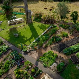 Image for Community Gardening Team Experience