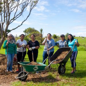 Image for Gardening Therapy for Riding Therapy